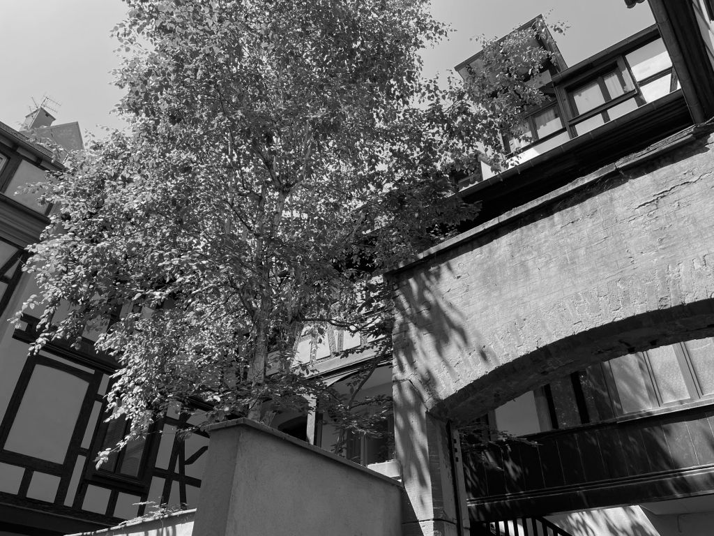 duplex 3 pièces en vente sur STRASBOURG (67000)